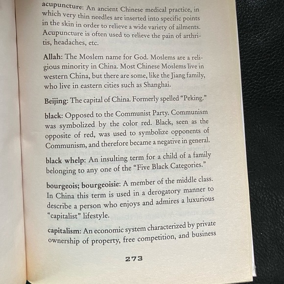 📘Red Scarf Girl-True Story of Surviving Communist China - Picture 4 of 4